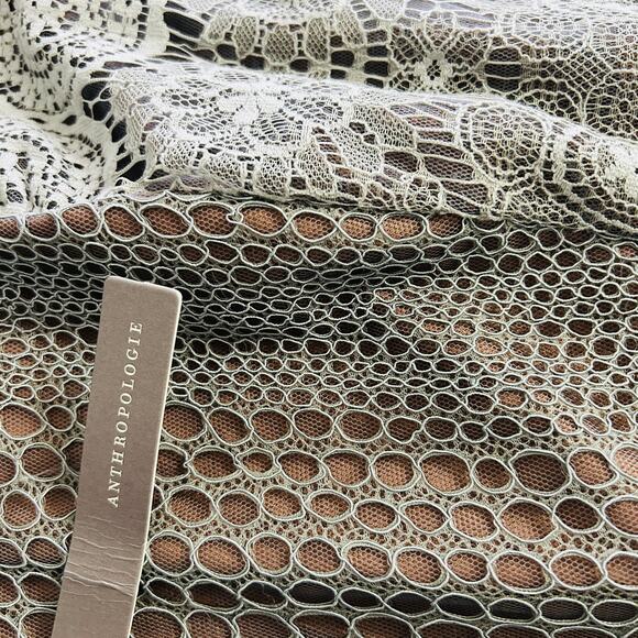 NEW Anthropologie Byron Lars Beguile Lace Sheath Dress Gisella Embroidered Sz 22 - Picture 11 of 13